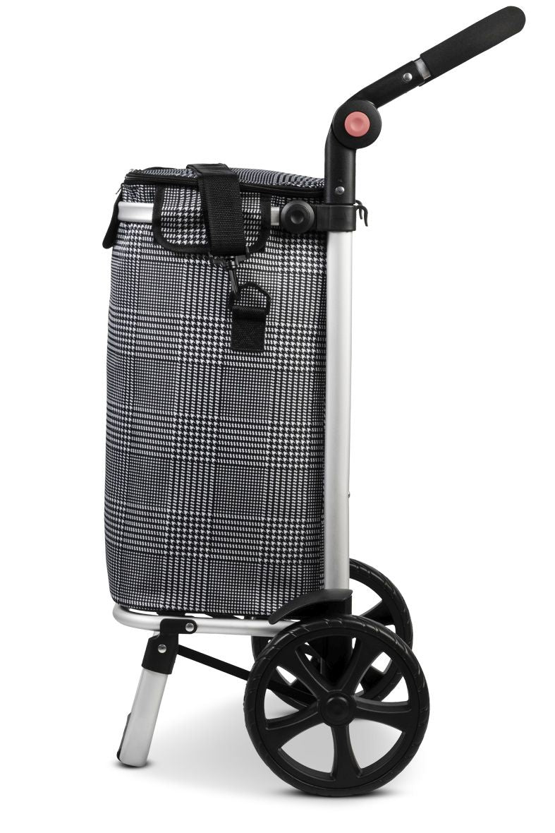 Punta Talent Shopping Roller