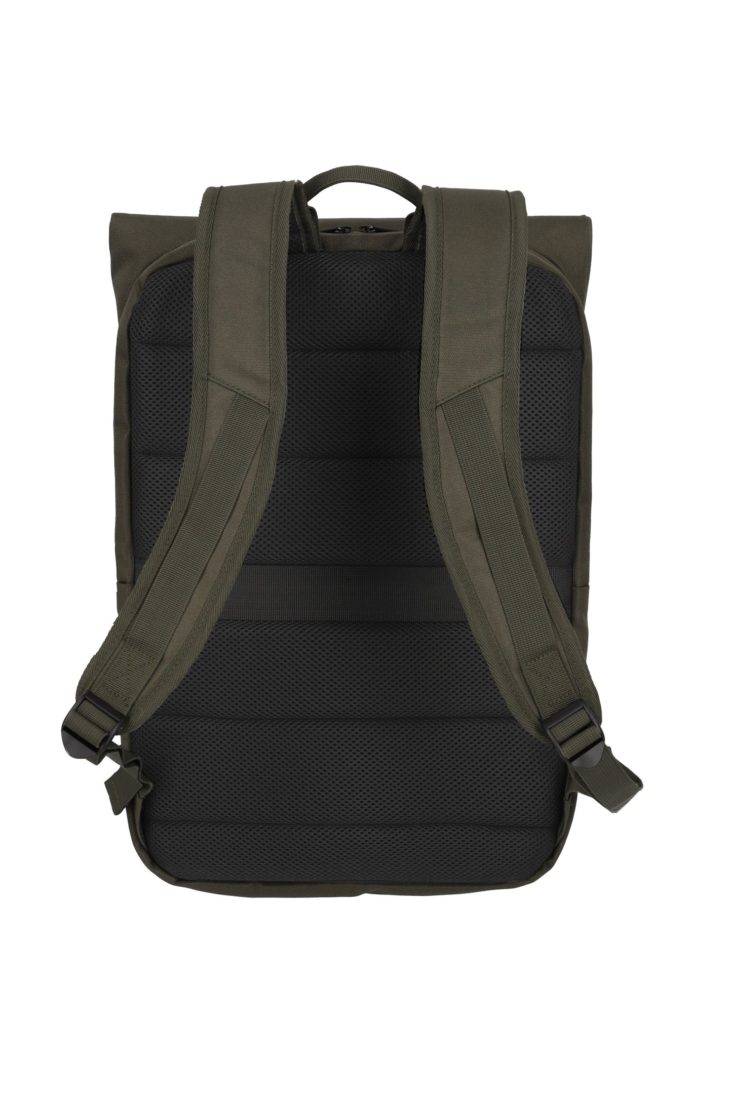 Pathway fold, olive