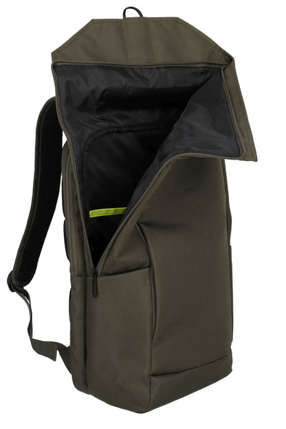 Pathway fold, olive