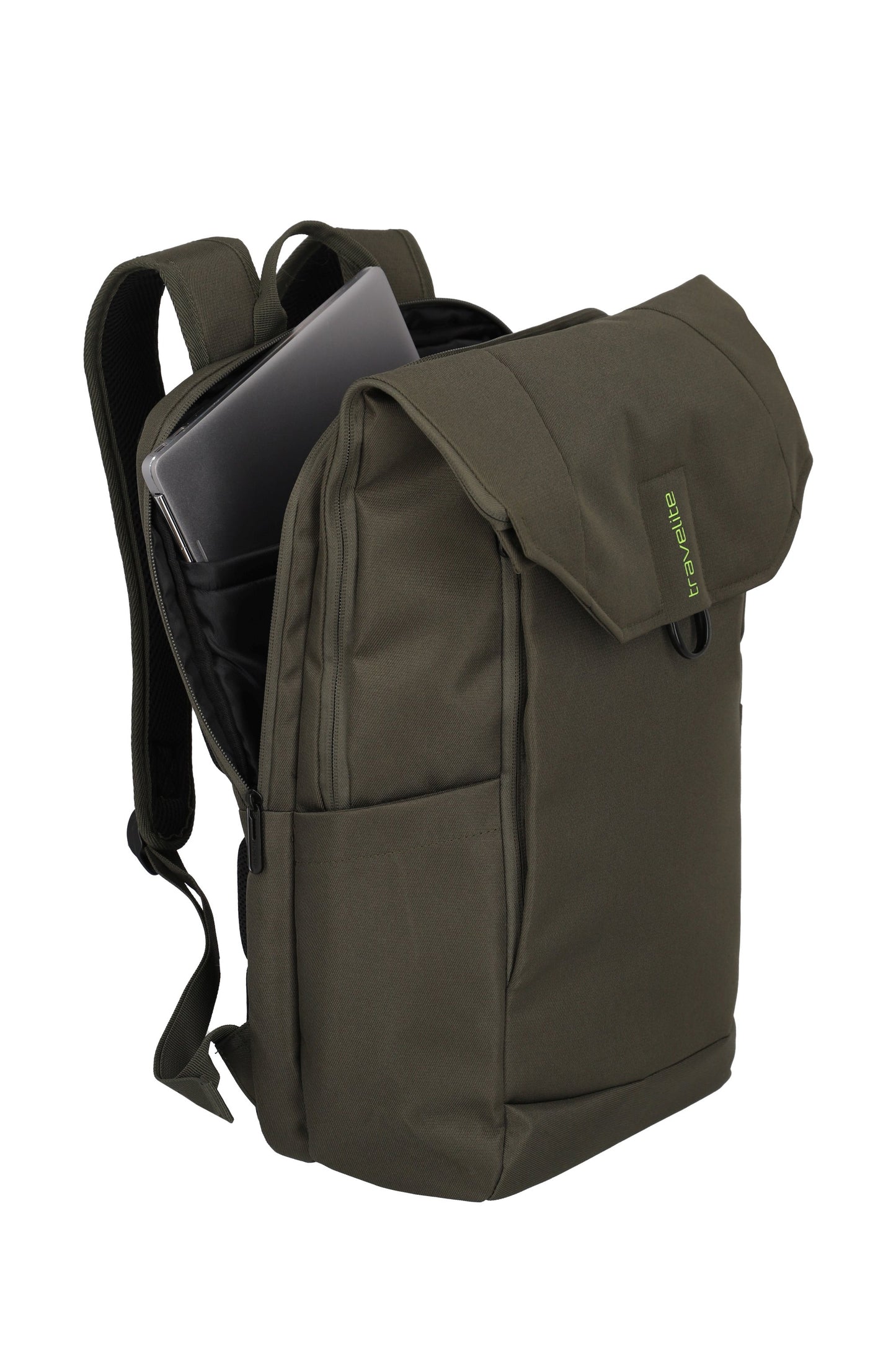 Pathway fold, olive