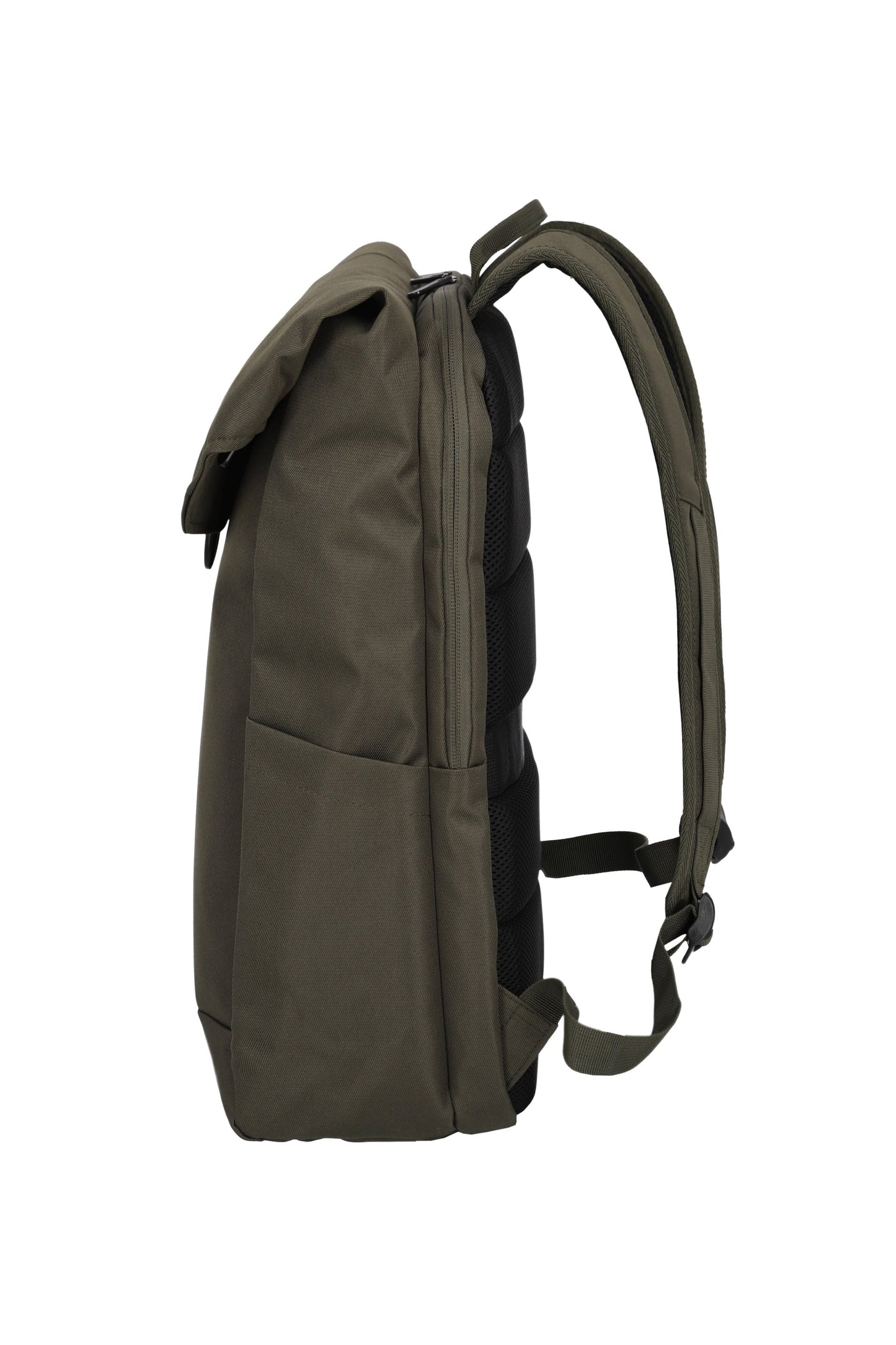 Pathway fold, olive